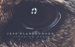 Jeff Plankenhorn’s Sleeping Dogs