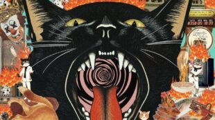 Fantastic Cat’s Cat out of Hell